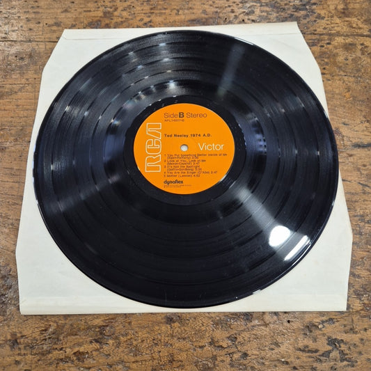 LP Ted Neeley - 1974 A.D. APL1-0317 Made In USA Musica Rock Vinile